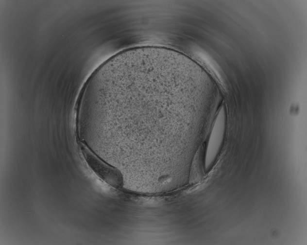 X0000094440900200711211453