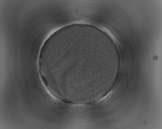 X0000094440902200711211453