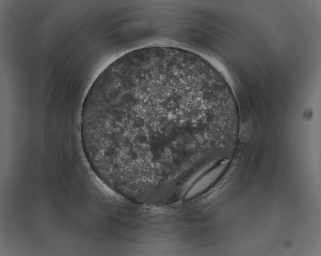 X0000094440903200711211453