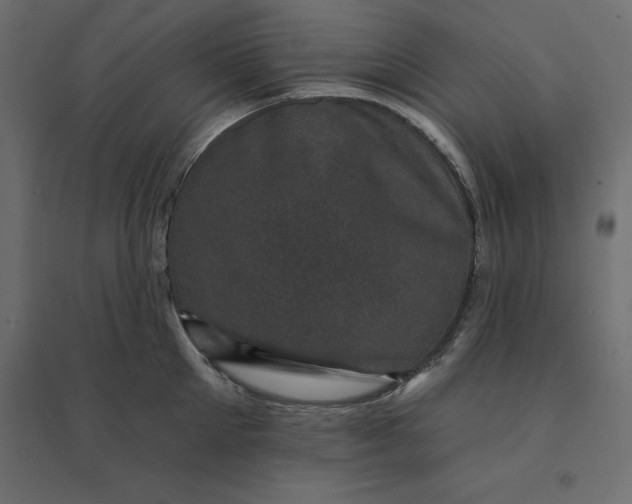 X0000094440905200711211453