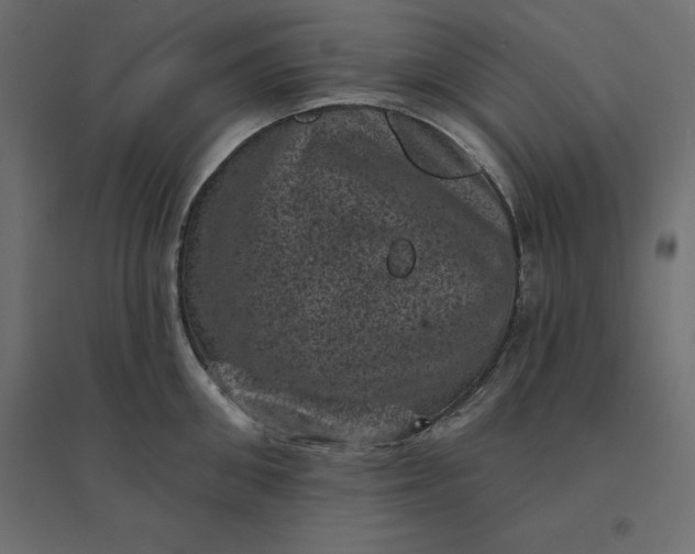 X0000094440906200711211453