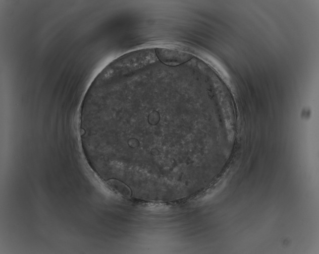 X0000094440907200711211453