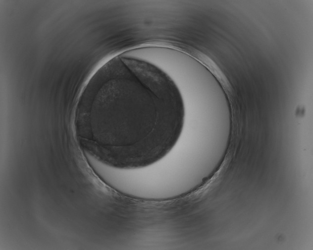 X0000094440908200711211453