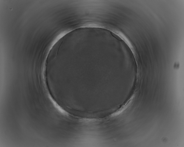 X0000094440909200711211453