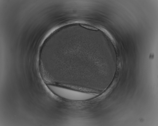 X0000094440910200711211453