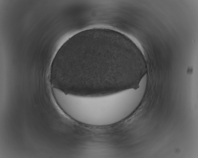 X0000094440911200711211453