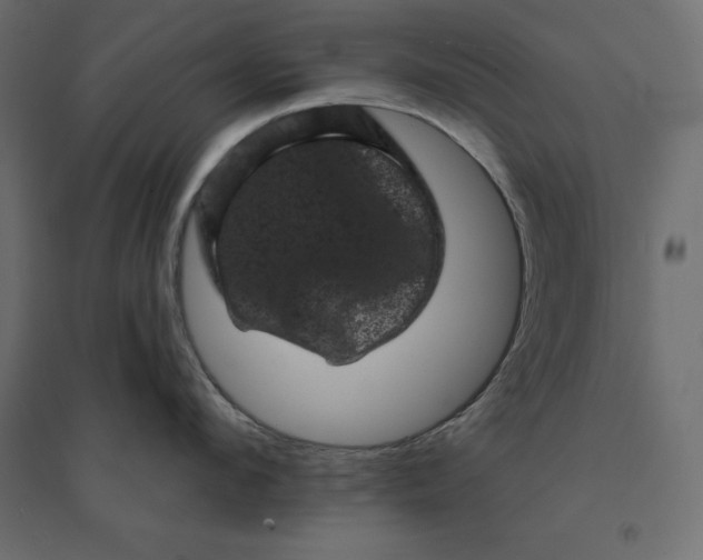 X0000094440912200711211453