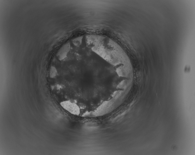 X0000094440913200711211452