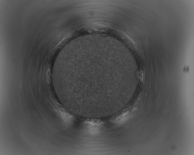 X0000094440915200711211452