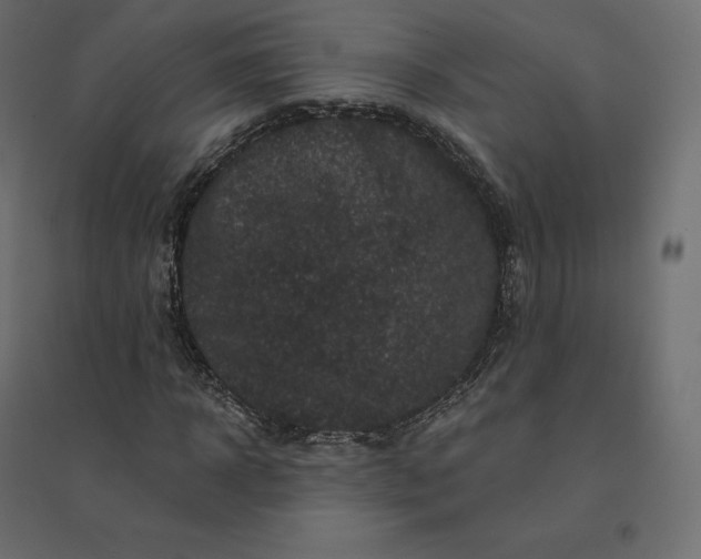 X0000094440918200711211452