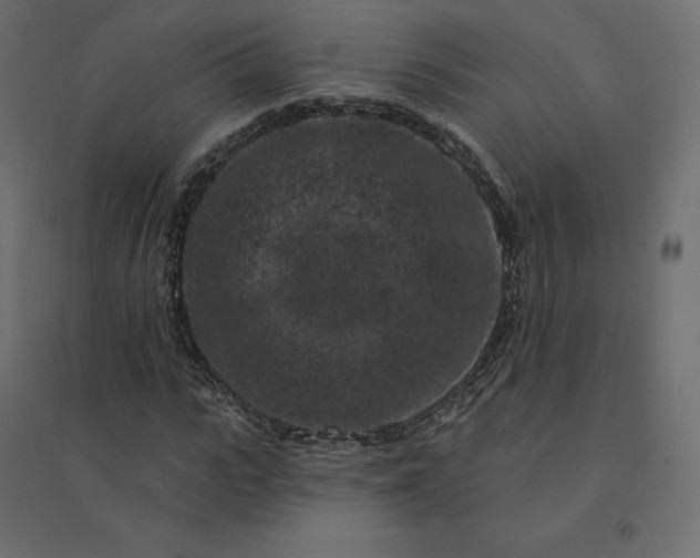 X0000094440919200711211452