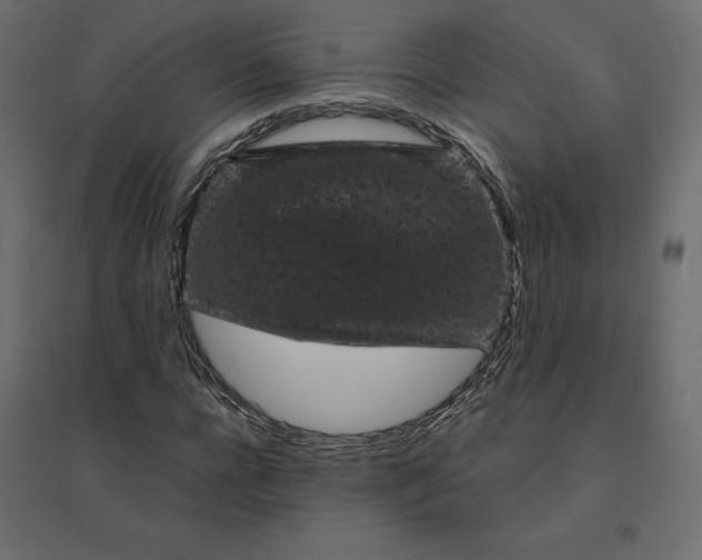 X0000094440920200711211452