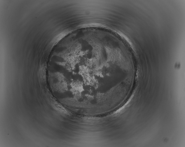 X0000094440921200711211452