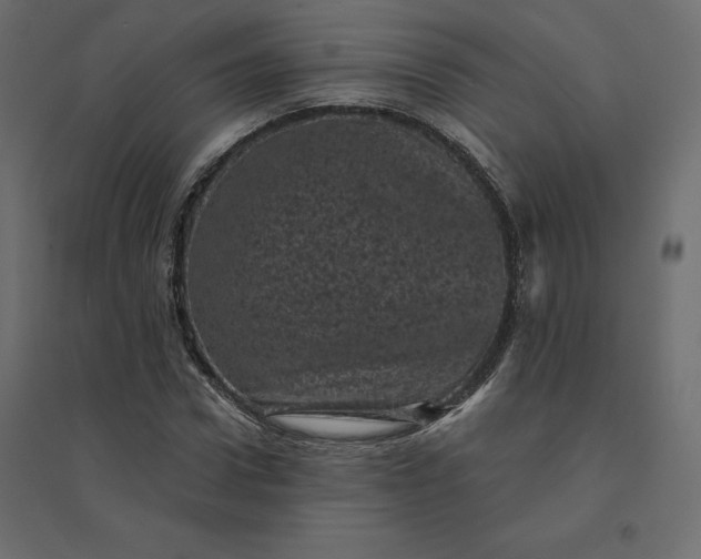 X0000094440922200711211452