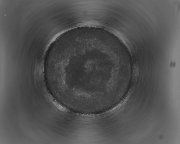 X0000094440923200711211452