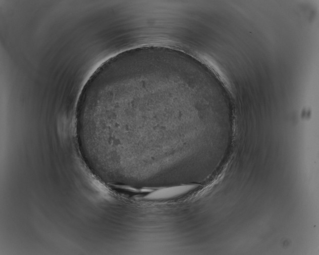 X0000094440924200711211452