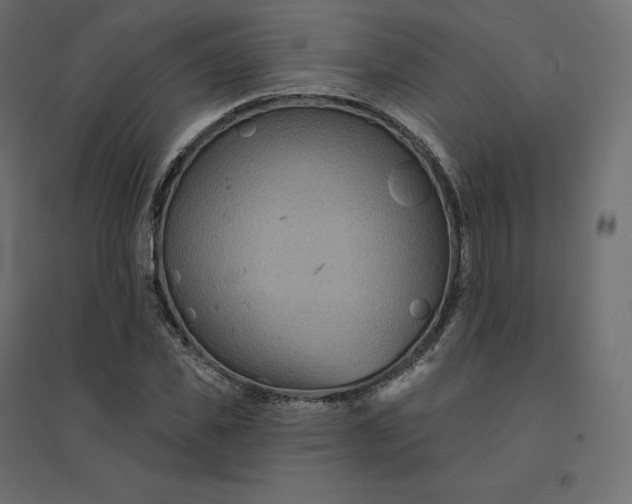 X0000094440925200711211452