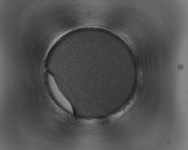 X0000094440926200711211452