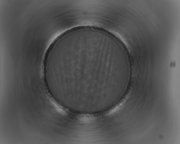 X0000094440927200711211452