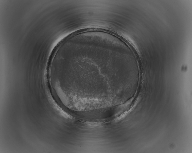 X0000094440928200711211452