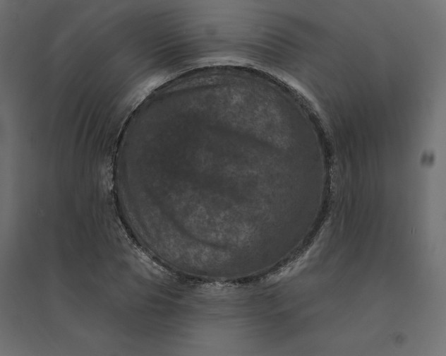 X0000094440929200711211452