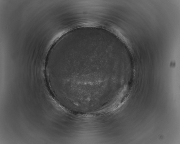 X0000094440930200711211453