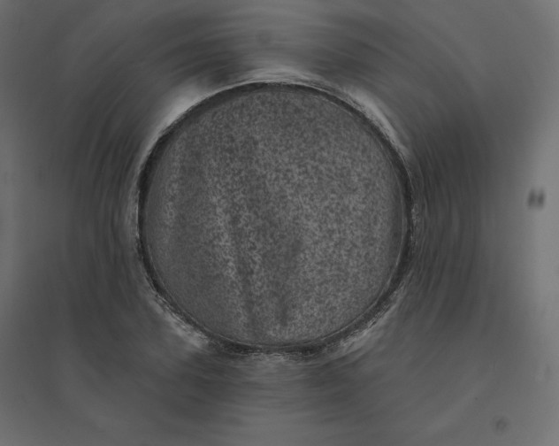 X0000094440931200711211453