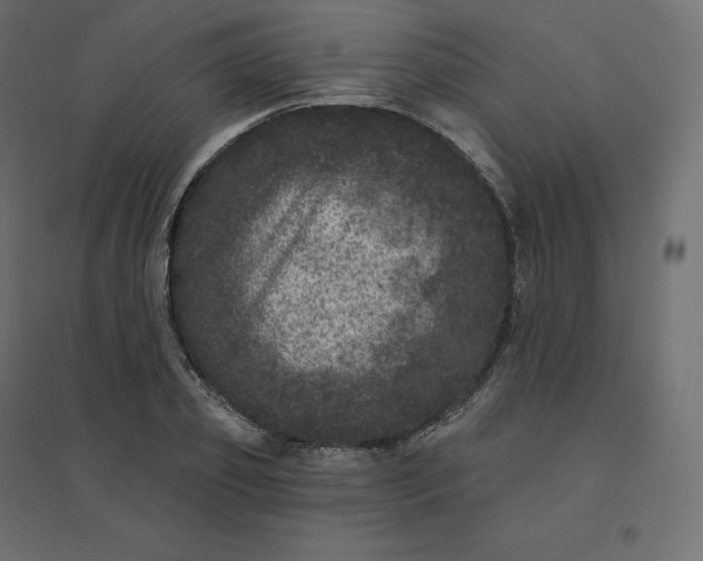 X0000094440933200711211453