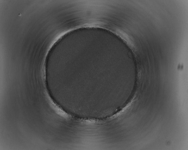 X0000094440934200711211453