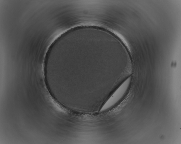 X0000094440935200711211453