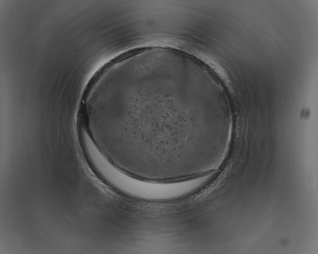 X0000094440936200711211453