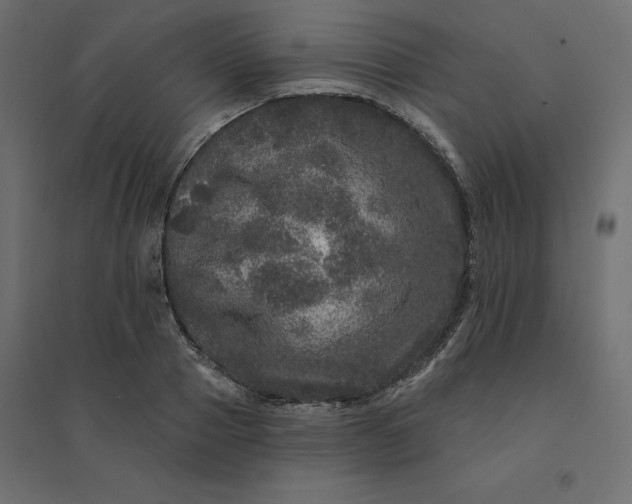 X0000094440937200711211453