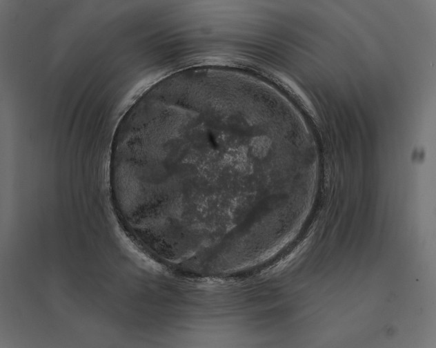 X0000094440938200711211453