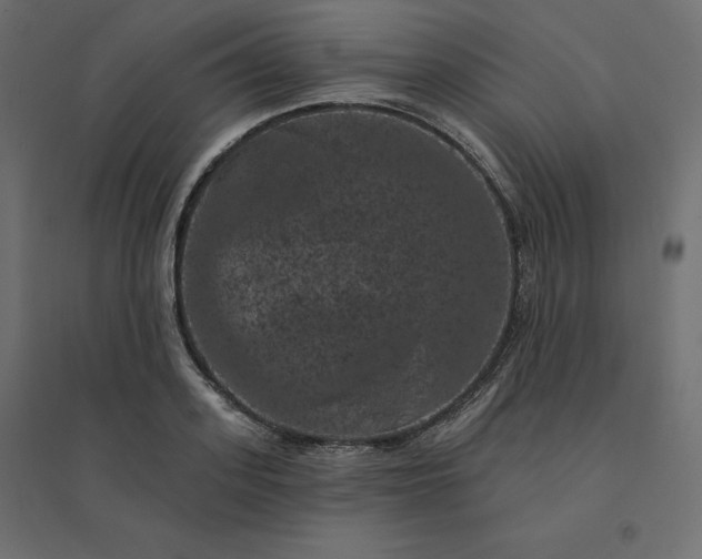 X0000094440939200711211453