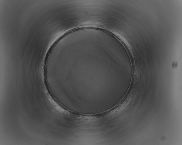 X0000094440941200711211453