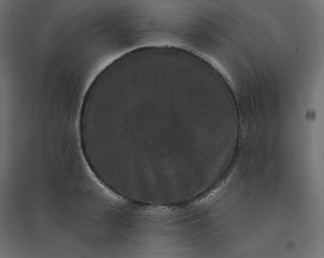 X0000094440943200711211453