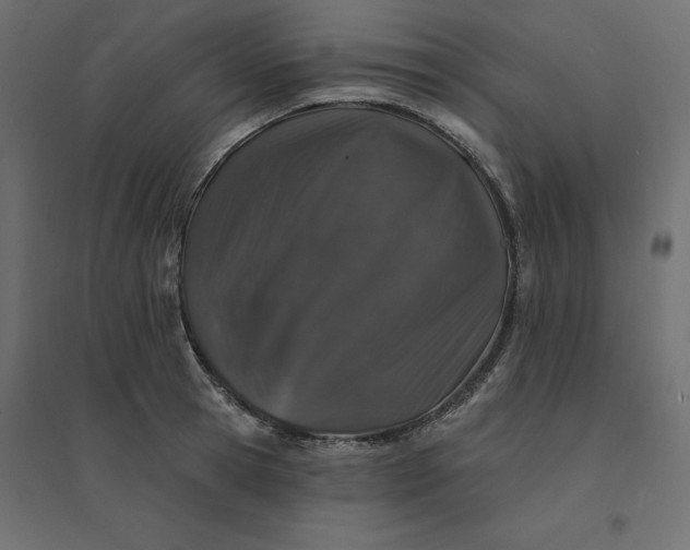 X0000094440945200711211453