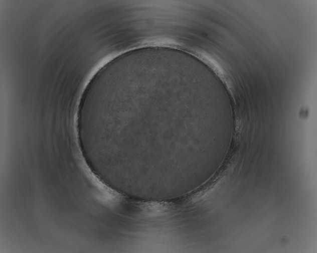 X0000094440947200711211453