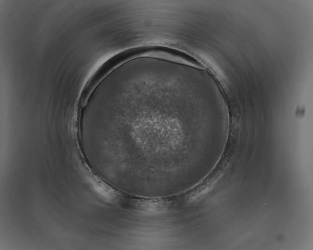 X0000094440948200711211453