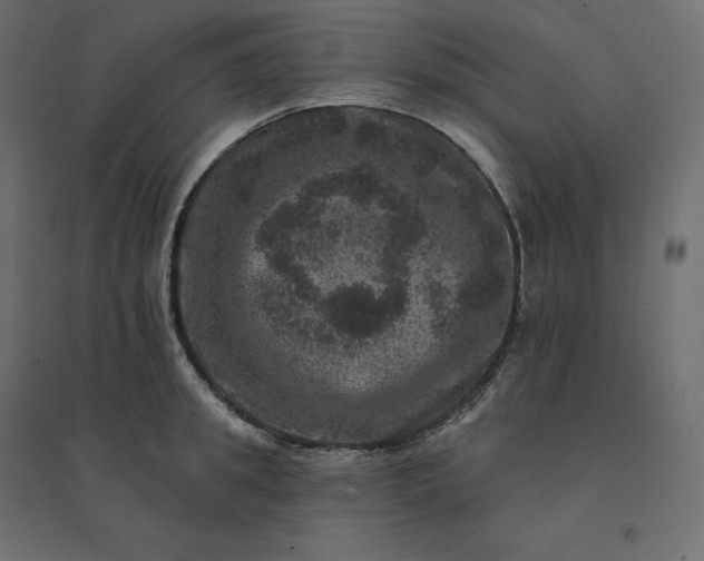 X0000094440949200711211453