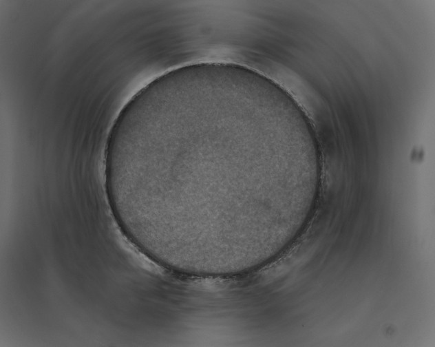 X0000094440950200711211453