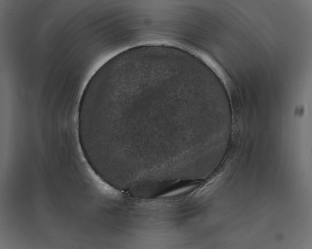 X0000094440951200711211453