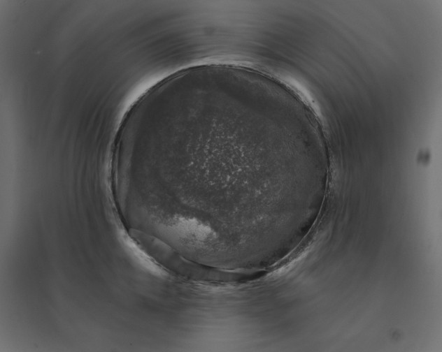 X0000094440952200711211453