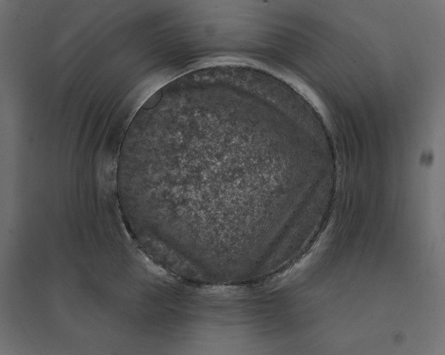 X0000094440953200711211453