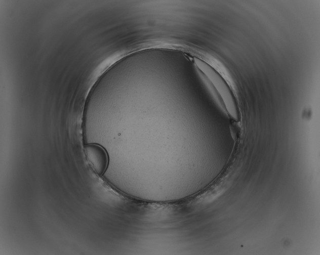 X0000094440954200711211453