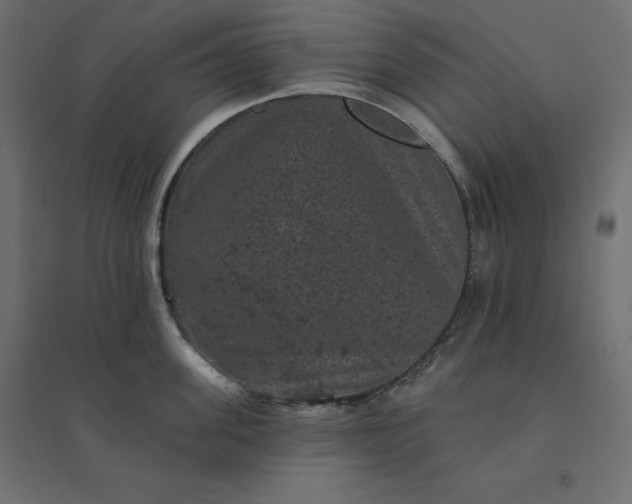 X0000094440955200711211453