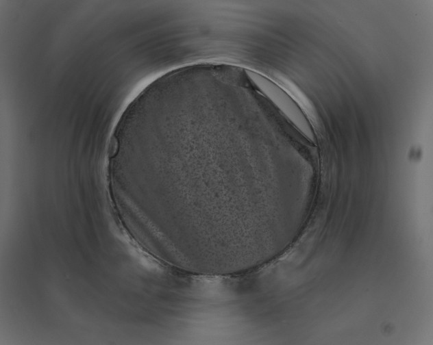 X0000094440956200711211453