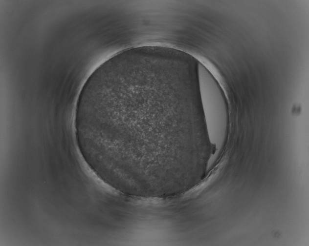 X0000094440957200711211453