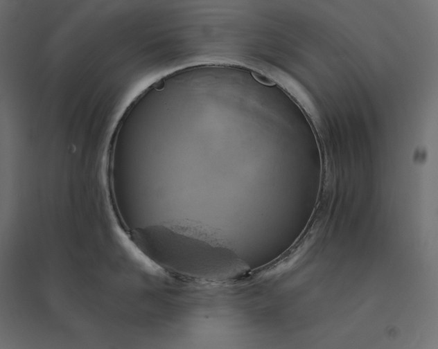 X0000094440958200711211453