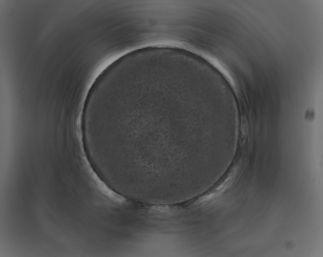 X0000094440959200711211453